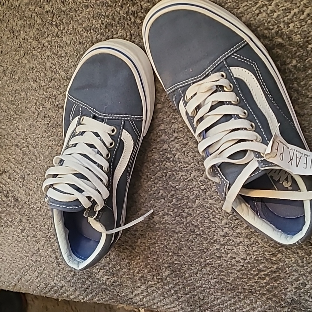 Vanz size 8.5 men's blue